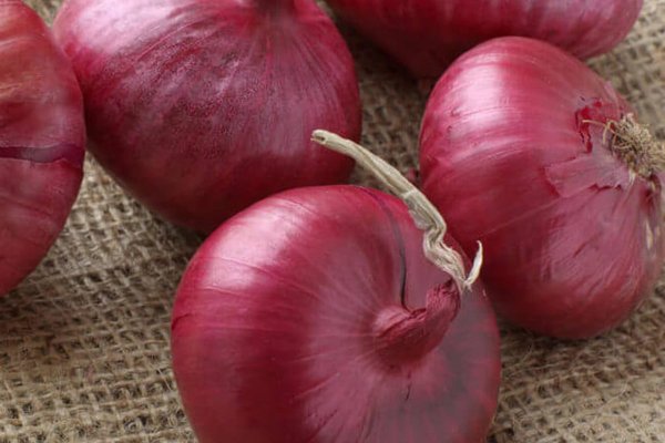 Kraken istand onion