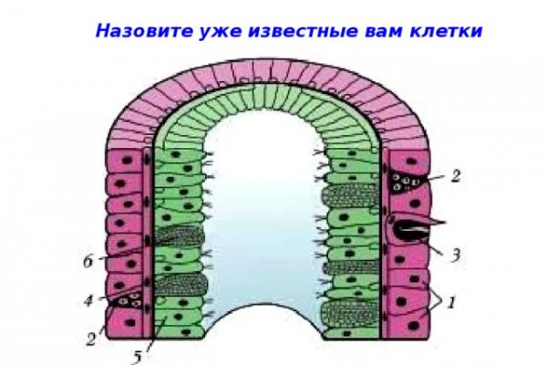 Кракен сайт krakens13 at
