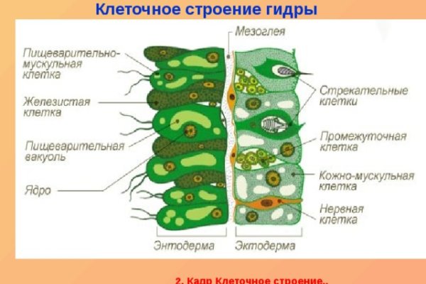 Kraken12 at сайт