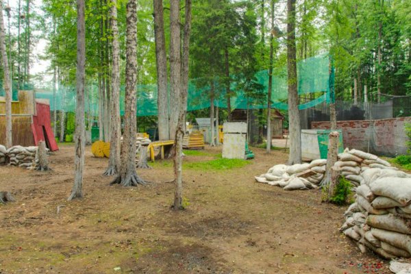 Через какой браузер можно зайти на кракен