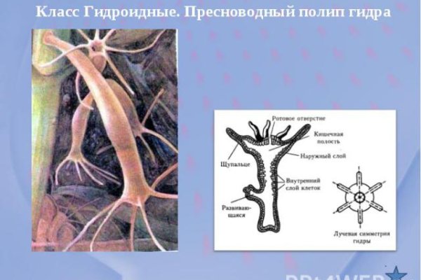 Кракен пользователь не найден