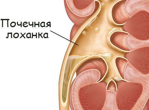 Kraken ссылка tg